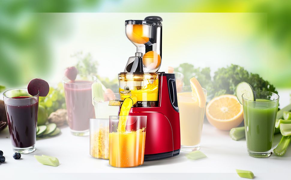 Boma Slow Juicer BM-2831