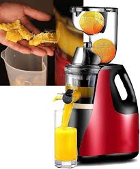 Boma Slow Juicer BM-2831